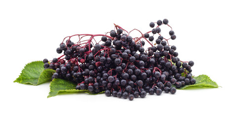 Black elderberry fruit. © voren1