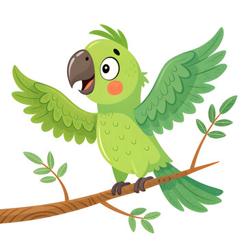 green parrot vector for kids