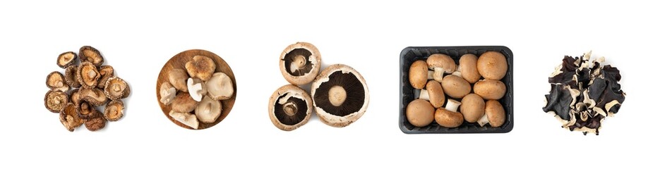 Assorted color mushrooms isolated. Different edible fungus set, portobello, shiitake