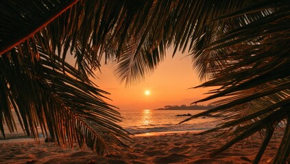 Tropical sunset framed by palm leaves (1)