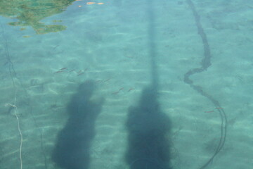 aerial view of swimming pool