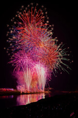 第51回、吉野川祭りの納涼花火大会