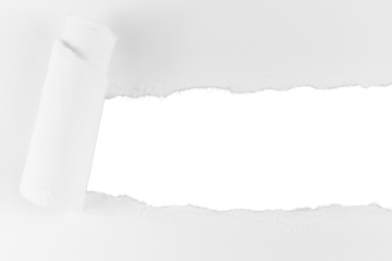 white ripped paper hole with rolled up edge frame isolated on white or transparent png