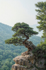 tree on the rock