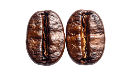 Two coffee beans, split open, revealing inner structure.  Dark brown, textured surfaces.  Close-up view