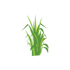 Green grass illustration with fresh blades in cartoon style. Perfect for nature design, lawn decoration, garden elements, eco concept, landscape vector, and outdoor scene artwork.