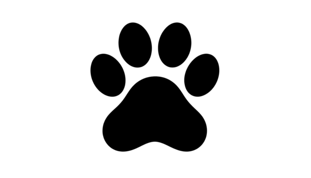 Solid black image.  A completely uniform, solid expanse of black