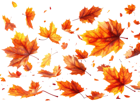 Falling autumn leaves in vibrant orange and gold hues