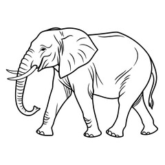 Fototapeta premium A detailed black and white line drawing of an african elephant walking gracefully