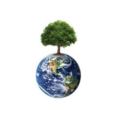 Isolated conceptual image displaying a thriving tree atop the planet earth floating on transparent