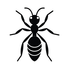 Ant Icon