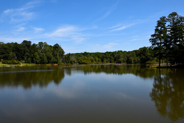 reflection of trees in water