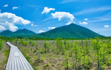 栃木県日光市　戦場ヶ原から見る男体山