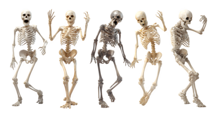 Set of Halloween skeletons in spooky poses, AI generated, isolated on white background