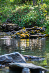 river and stones with moss in the forest in the golden hour
