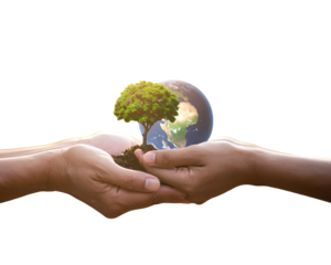 Let's protect the earth together