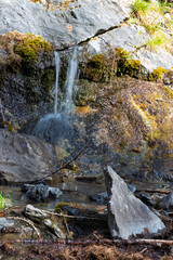 Obraz premium forest with river in long exposure and rocks at golden hour 