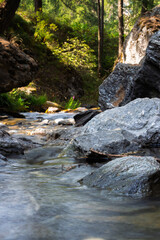 forest with river in long exposure and rocks at golden hour