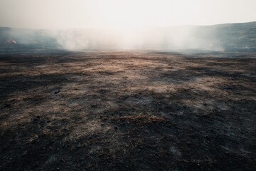 Burnt field, hazy smoke