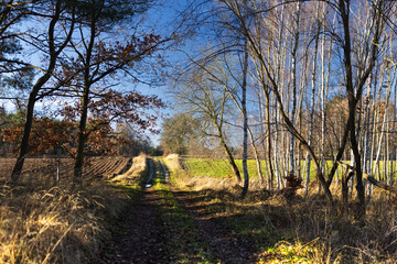 field road © Robert