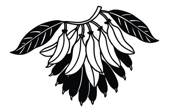black and white bananas bunch leaves clip art preview