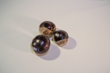 Three glossy horse chestnuts (buckeyes) isolated on a white background.
