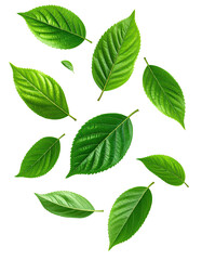 Naklejka premium Vibrant green leaves scattered on a black background