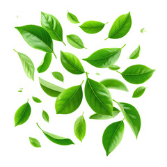 A vibrant graphic of scattered green tea leaves