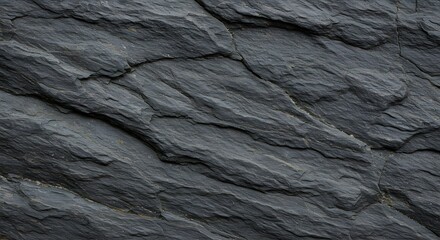 Close-up of a textured dark gray rock formation, showcasing natural geological patterns