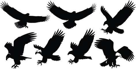 Obraz premium Black eagle silhouettes, dynamic bird shapes, flying and landing poses, wildlife vector art, raptor design, decorative outline, powerful avian illustration collection