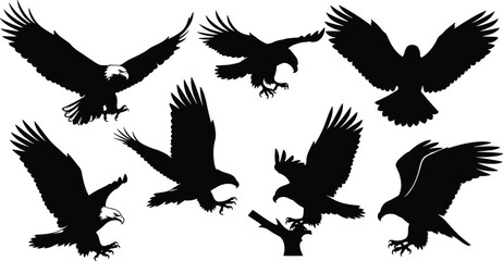 Black eagle silhouettes, majestic bird shapes, flying and perching poses, wildlife vector art, raptor design, decorative outline, powerful avian illustration set