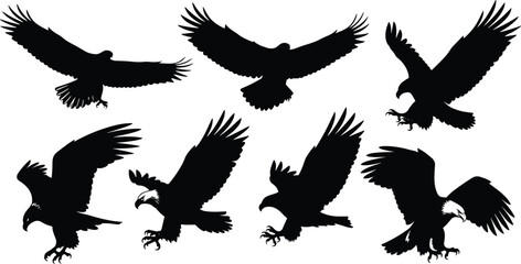 Black eagle silhouettes, majestic bird shapes, flying and landing poses, wildlife vector art, raptor design, decorative outline, powerful avian illustration collection