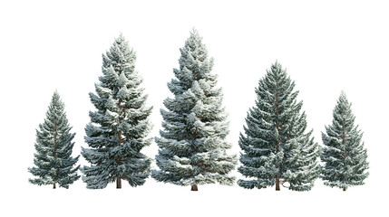 Row of five snowy evergreen trees in alternating heights, heavier snow on branch tips, trunks faintly visible, arranged in a gentle curve, isolated on transparent background.