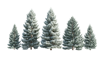 Row of five snowy evergreen trees in alternating heights, heavier snow on branch tips, trunks faintly visible, arranged in a gentle curve, isolated on transparent background.