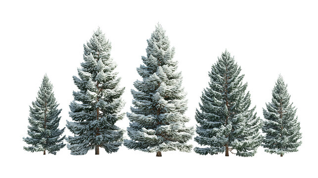 Row of five snowy evergreen trees in alternating heights, heavier snow on branch tips, trunks faintly visible, arranged in a gentle curve, isolated on transparent background.
