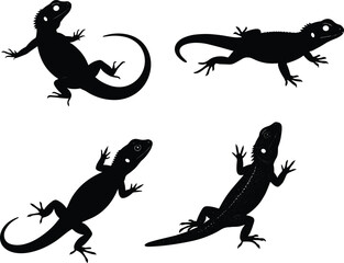 Lizard silhouettes in various poses, reptile wildlife art, tropical animal design, gecko and iguana shapes, nature illustration, flat vector illustration