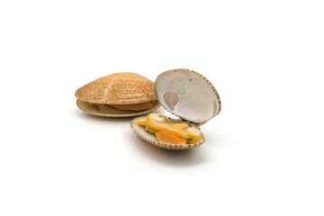 Closed up fresh baby clams. venus shell. shellfish. carpet clams. short necked clams. as raw food from the sea are the seafood ingredients. fresh clams Background.