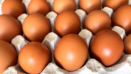 Eggs in paper tray, top view. Fresh farm eggs in eco packaging, organic food, healthy eating concept