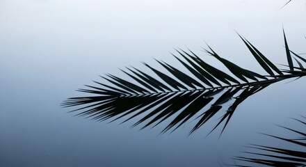 Obraz premium Palm Frond Shadow still calm water in hiking trail low contrast