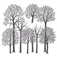Obraz premium Elegant tree line drawing for nature-inspired designs, perfect for seasonal projects and artistic themes