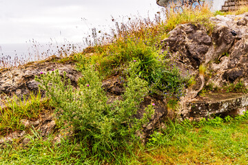 Pueblo de Llanes, Asturias, España.