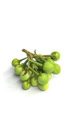 Pea eggplant on white background. Natural food.