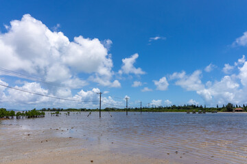 由布島の対岸からの景色、8月、沖縄