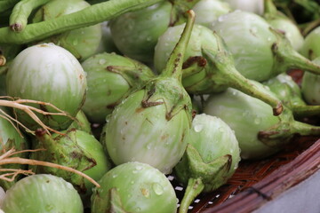 Thai eggplant is a vegetable in the fresh market.