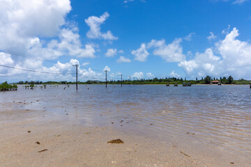 由布島の対岸からの景色、8月、沖縄