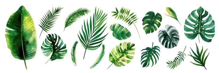 Collection of various tropical leaves arranged artistically, showcasing vibrant green hues and intricate textures, perfect for nature-themed designs. Isolated on transparent background. PNG, cutout.