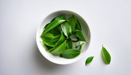 Fresh Green Tea Leaves Filling White Bowl On White Background Overhead Still Life Minimalist Style Healthy Beverage Ingredient