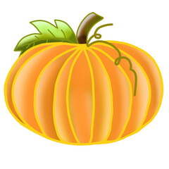 pumpkin isolated on white