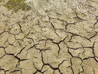 dry cracked earth