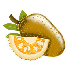 jackfruit one of Asian fruit 